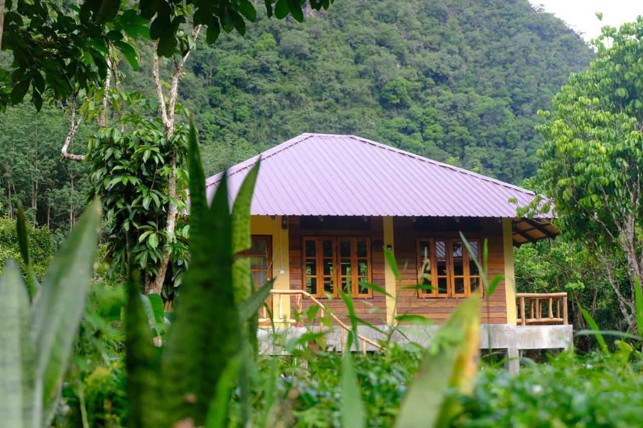 Monkey Mansion - Jungalows & Tours Khao Sok National Park المظهر الخارجي الصورة