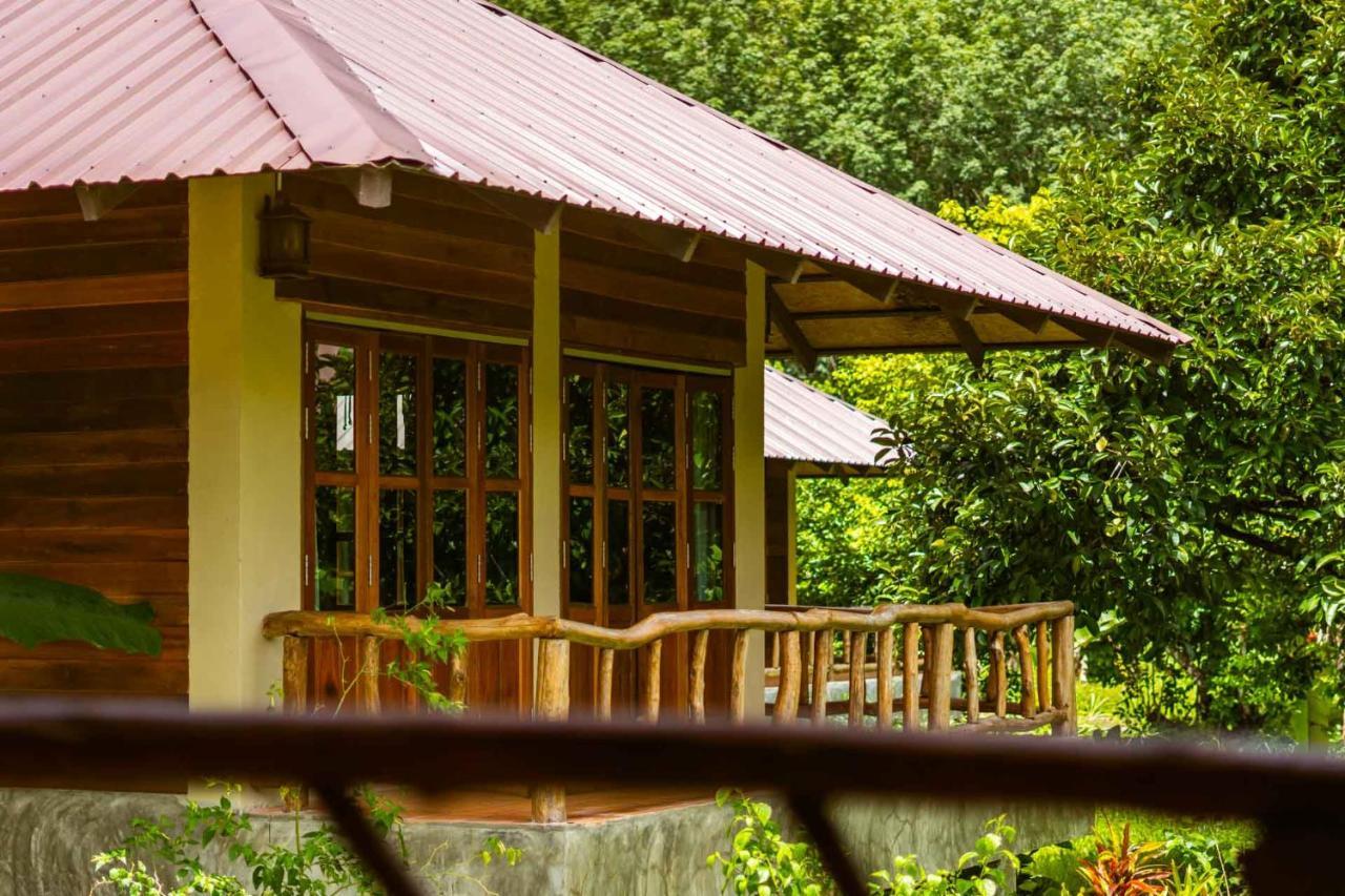 Monkey Mansion - Jungalows & Tours Khao Sok National Park المظهر الخارجي الصورة