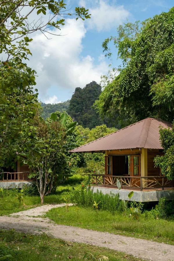 Monkey Mansion - Jungalows & Tours Khao Sok National Park المظهر الخارجي الصورة