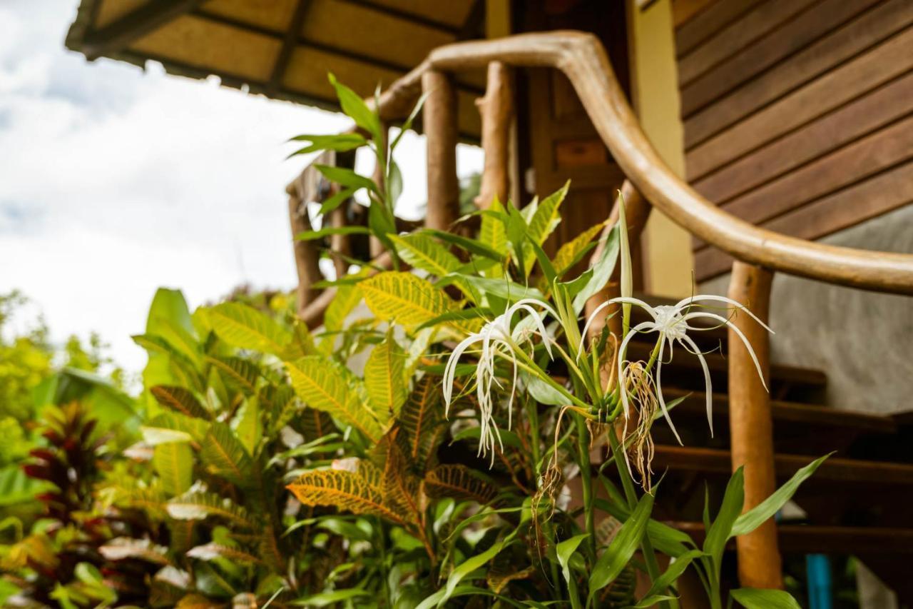 Monkey Mansion - Jungalows & Tours Khao Sok National Park المظهر الخارجي الصورة