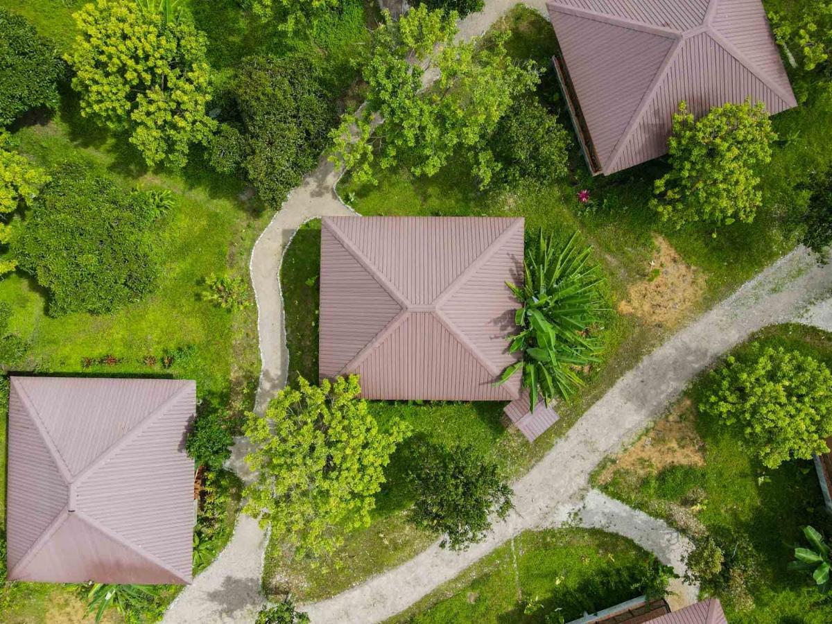 Monkey Mansion - Jungalows & Tours Khao Sok National Park المظهر الخارجي الصورة
