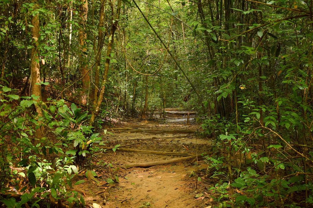 Monkey Mansion - Jungalows & Tours Khao Sok National Park المظهر الخارجي الصورة